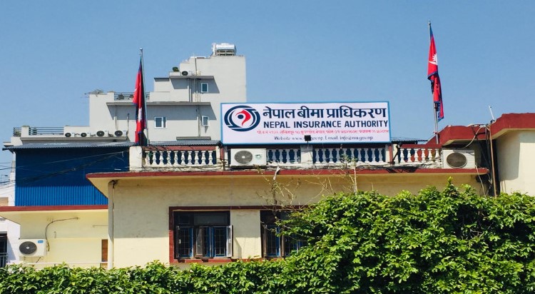 बीमा दाबी भुक्तानी मार्गदर्शन संशोधन गर्ने तयारीमा प्राधिकरण